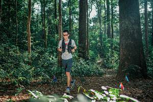 BIB: 
                            <button type="button" onclick="openModal(26069996)" class="btn btn-primary btn-sm float-right btn-popup" data-toggle="modal" data-target=".modal-high-quality">
                        <i class="fas fa-shopping-cart"></i> Add to Cart
                    </button>
                                            <button type="button" onclick="isThisMe(26069996, true)" class="btn btn-success btn-sm float-right btn-popup btn-isme hidden" data-toggle="tooltip" data-placement="bottom" title="นี่คือรูปของคุณใช่ไหม คลิกที่นี่เพื่อเอาเข้าอัลบั้ม">
                        <i class="fas fa-plus"></i> Add to album
                    </button>
                    <button type="button" onclick="isThisMe(26069996, false)" class="btn btn-warning btn-sm float-right btn-popup btn-isnotme hidden">
                        <i class="fas fa-ban"></i> Remove from album
                    </button>